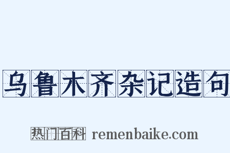 乌鲁木齐杂记造句是什么意思的图片